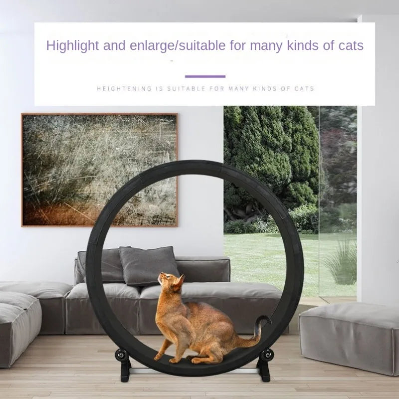 Silent Cat Treadmill Running Wheel – Multi-Function Fitness Toy for Cats & Small Dogs