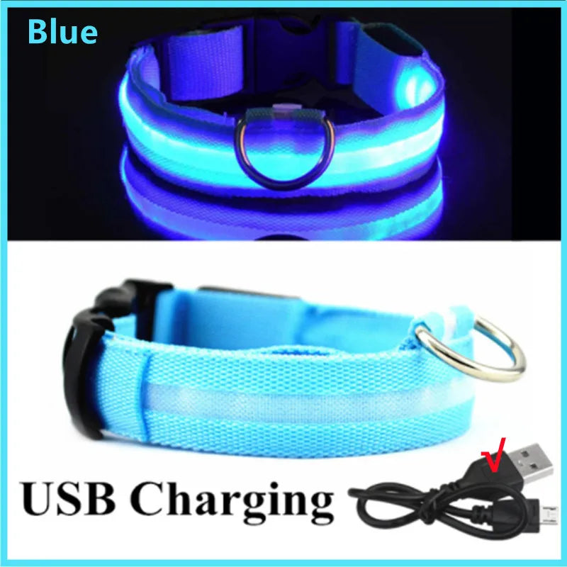 USB Rechargeable LED Glowing Dog & Cat Collar – Adjustable Night Safety Collar