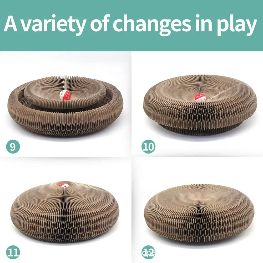 Kitty Curls Cat Toy – Interactive Scratch Pad & Resting Spot