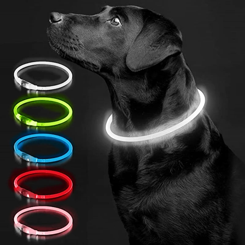 LED Luminous Dog & Cat Collar – Rechargeable Glowing Safety Collar