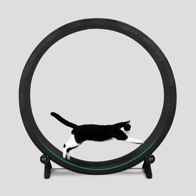 Silent Cat Treadmill Running Wheel – Multi-Function Fitness Toy for Cats & Small Dogs