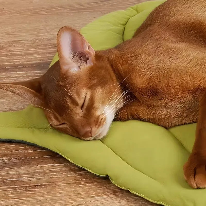 Leaf-Shaped Soft Washable Pet Bed Mat for Cats & Small Dogs