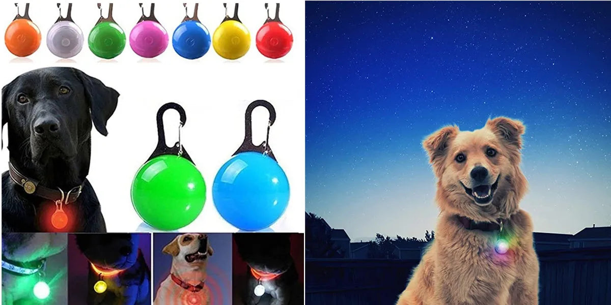 USB Rechargeable LED Glowing Dog & Cat Collar – Adjustable Night Safety Collar