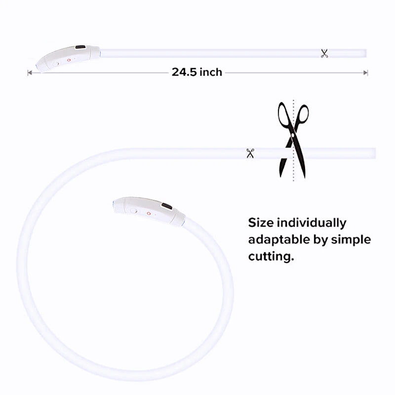 USB Rechargeable LED Glowing Dog & Cat Collar – Adjustable Night Safety Collar