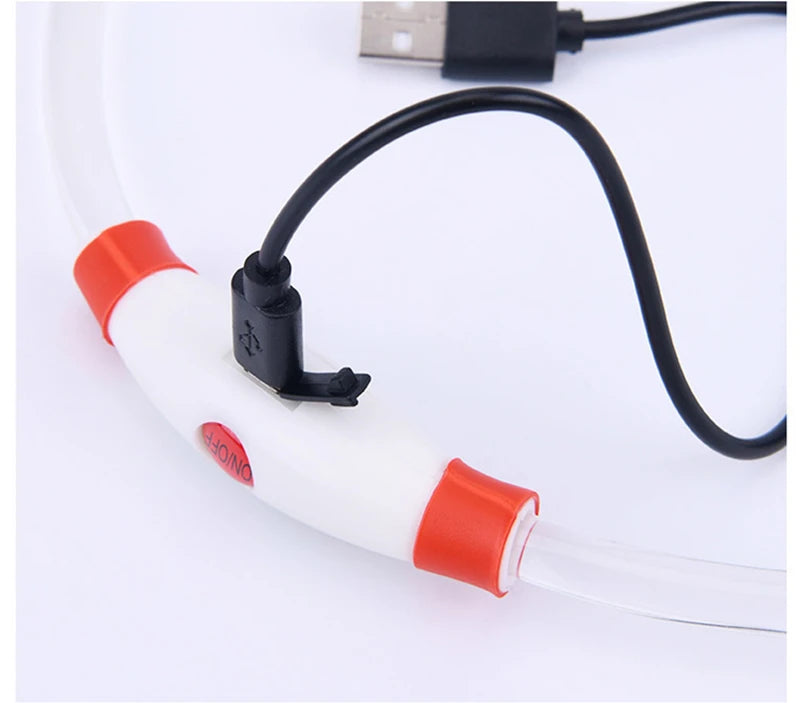 LED Luminous Dog & Cat Collar – Rechargeable Glowing Safety Collar