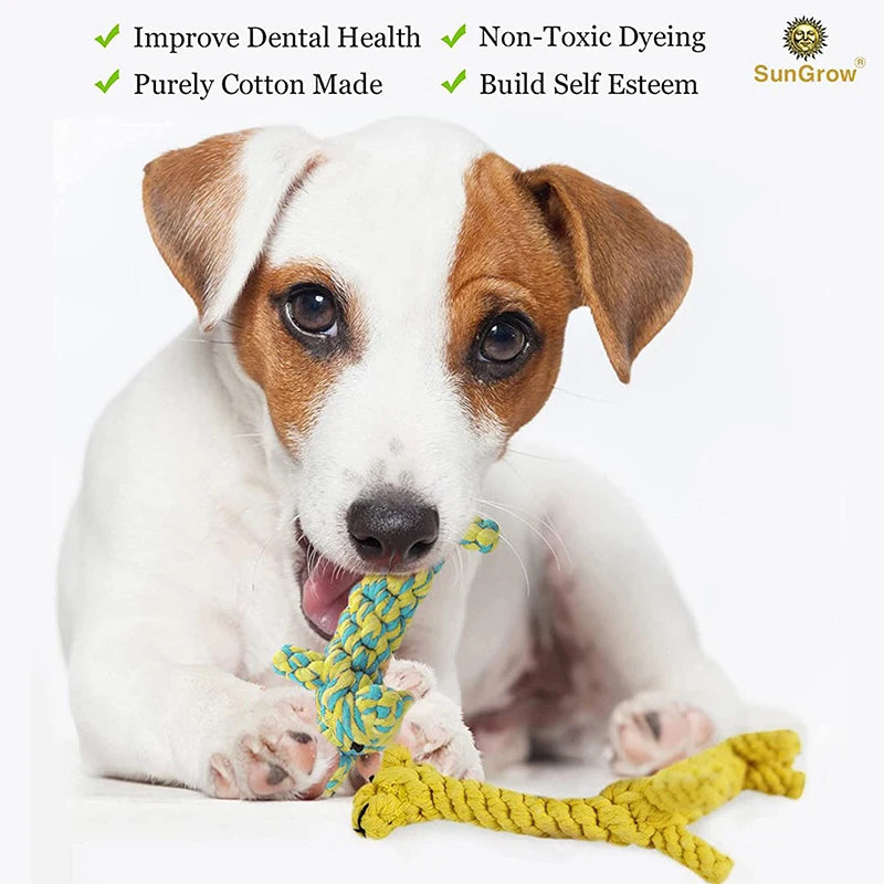 Durable Rope Dog Toy for Chewing & Tug Play