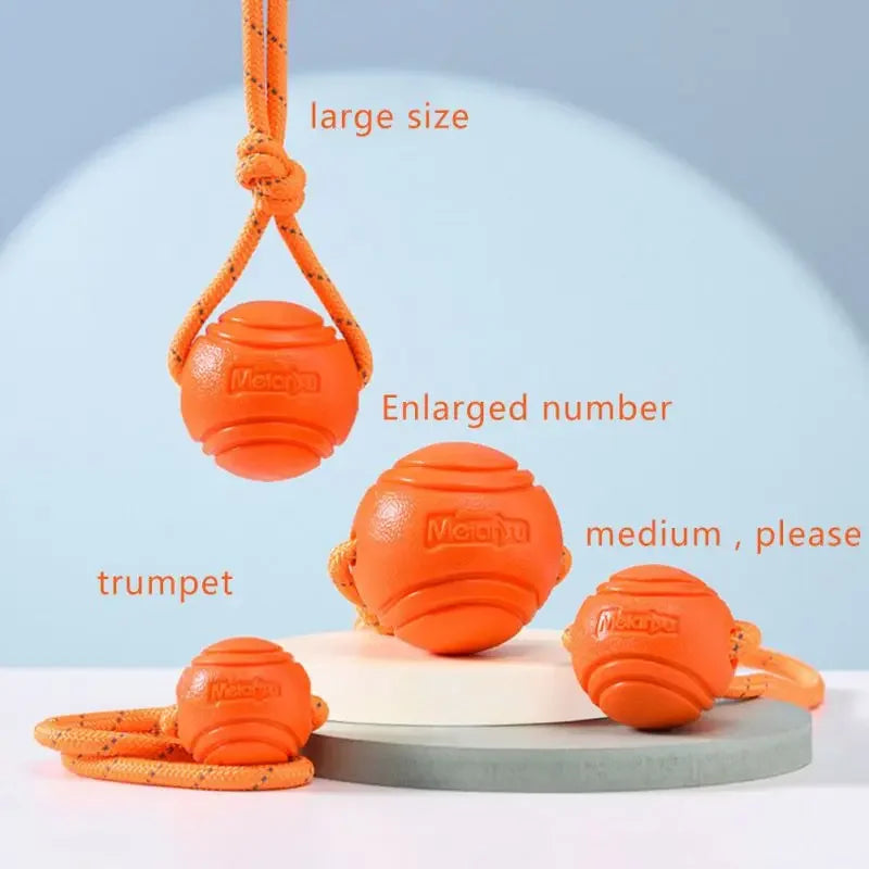 Durable Dog Training Ball with Rope for Fetch & Tug