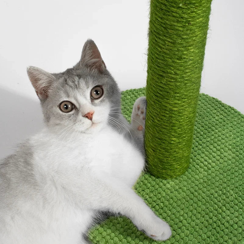 Cactus-Shaped Cat Scratching Post with Sisal Rope – Interactive Climbing & Scratching