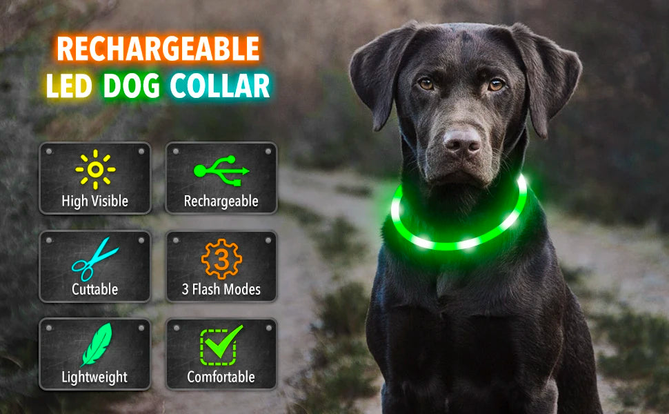 USB Rechargeable LED Glowing Dog & Cat Collar – Adjustable Night Safety Collar