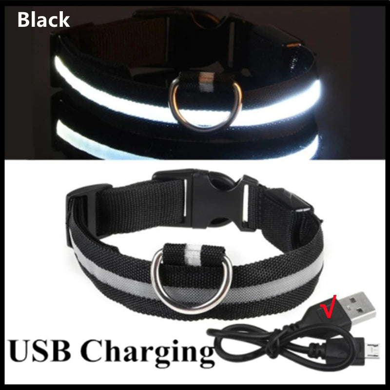 USB Rechargeable LED Glowing Dog & Cat Collar – Adjustable Night Safety Collar
