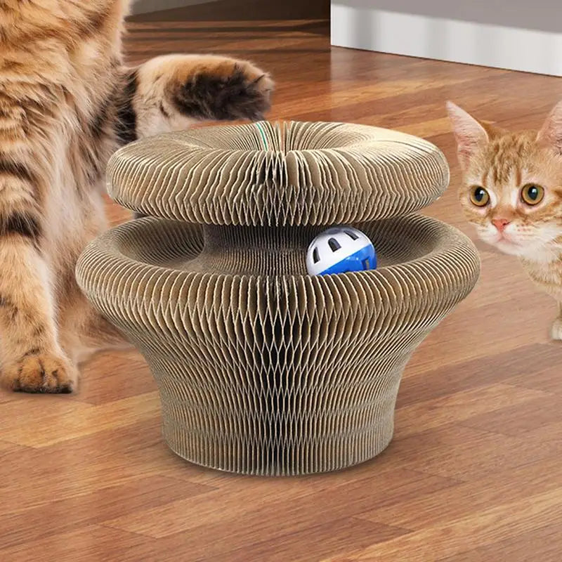 Kitty Curls Cat Toy – Interactive Scratch Pad & Resting Spot