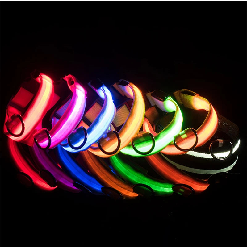 USB Rechargeable LED Glowing Dog & Cat Collar – Adjustable Night Safety Collar