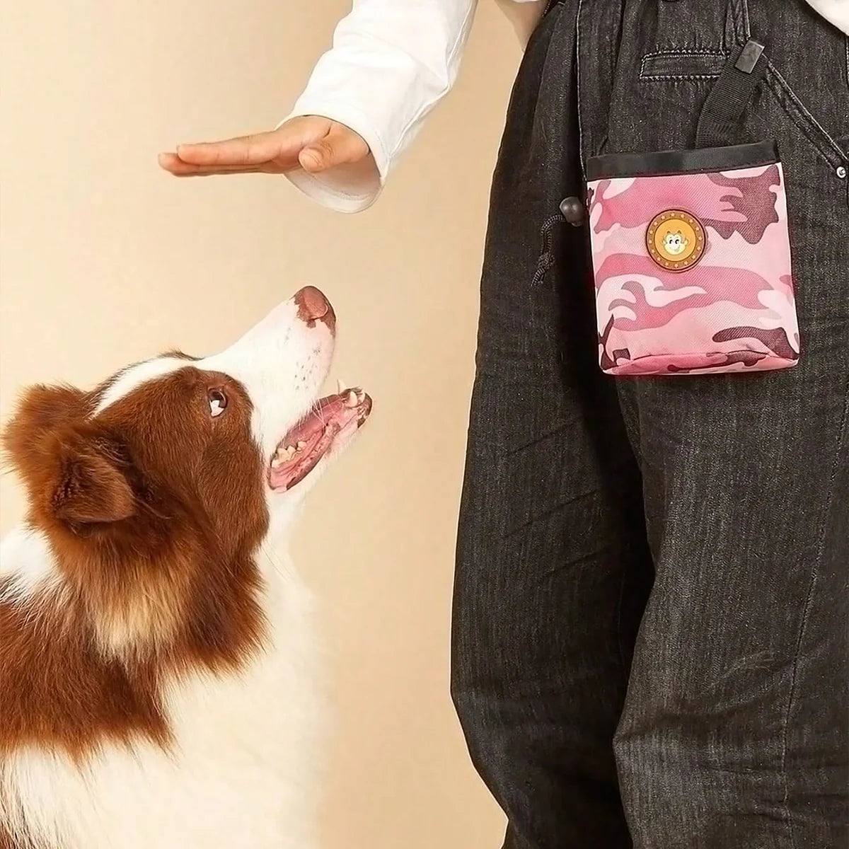 Portable Dog Training Treat Pouch Waist Bag