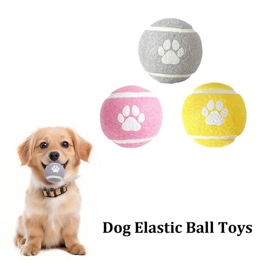 High-Bounce Rubber Dog Ball Toy for Training & Play
