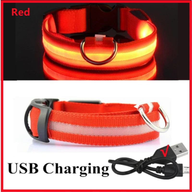 USB Rechargeable LED Glowing Dog & Cat Collar – Adjustable Night Safety Collar