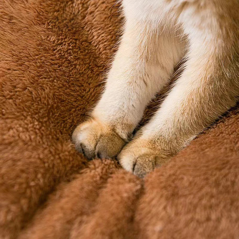 Warm Enclosed Teddy Bear Pet Bed – Cozy Cat & Dog Sleeping Bed