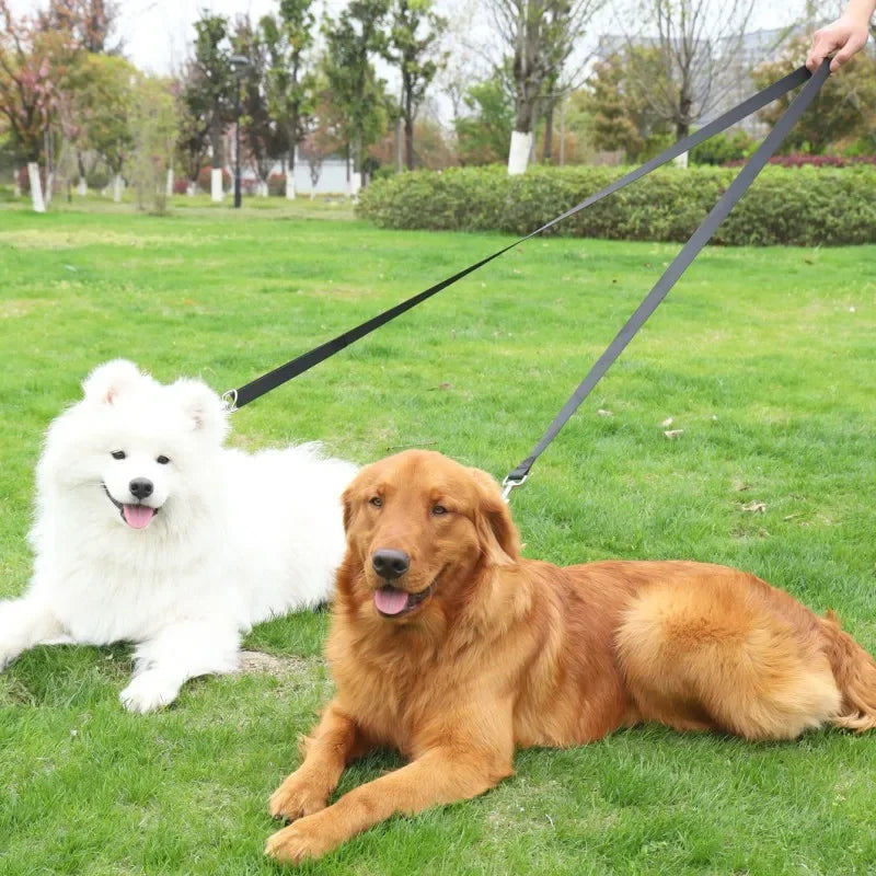 Adjustable Dual-Clip Dog Leash with Hands-Free Option