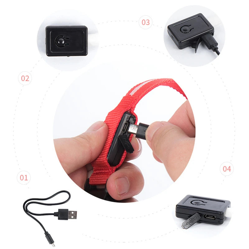 USB Rechargeable LED Glowing Dog & Cat Collar – Adjustable Night Safety Collar