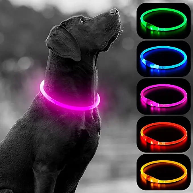 LED Luminous Dog & Cat Collar – Rechargeable Glowing Safety Collar