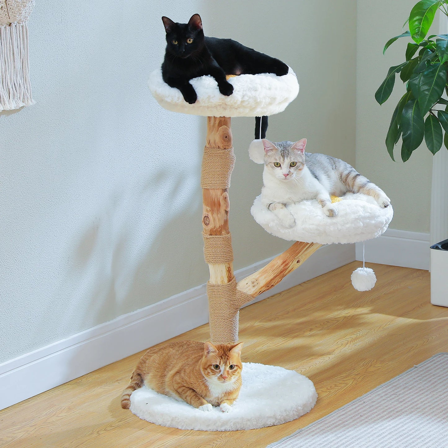 Flower-Shaped Modern Cat Tree with 2 Perches – Indoor Climbing Tower & Scratching Post  📂 Category