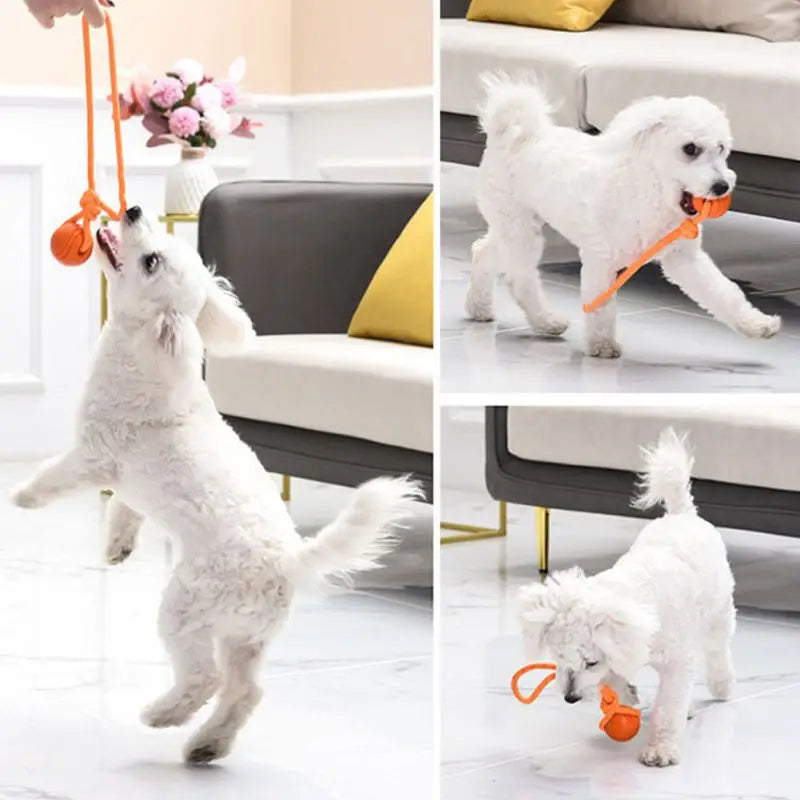Reflective TPR Rope Ball Dog Toy for Fetch & Dental Care
