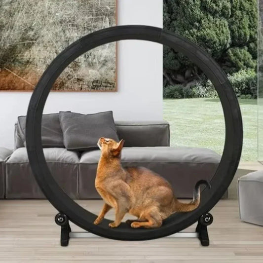 Silent Cat Treadmill Running Wheel – Multi-Function Fitness Toy for Cats & Small Dogs