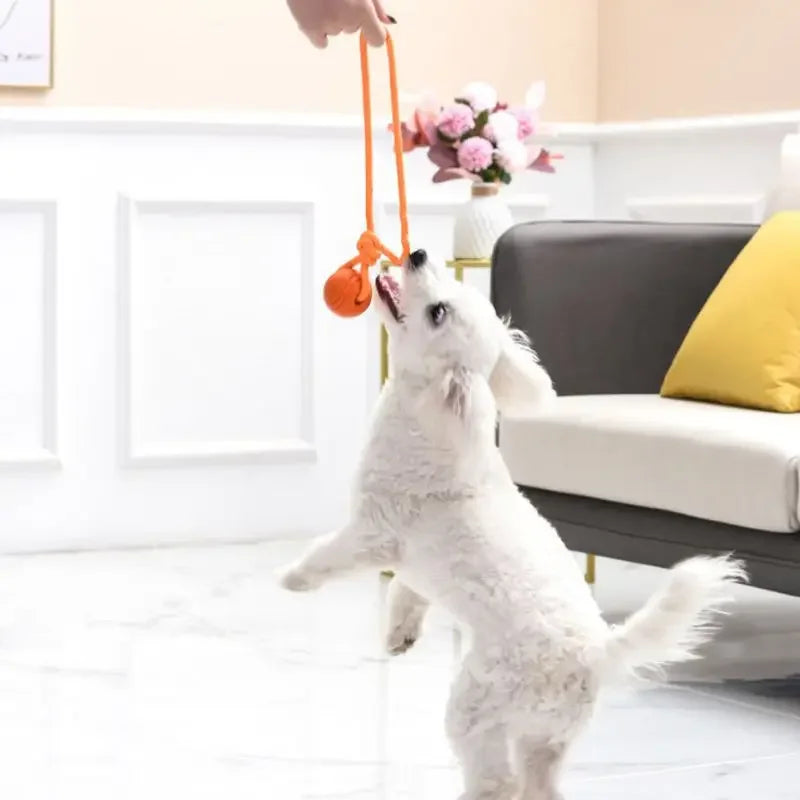 Durable Dog Training Ball with Rope for Fetch & Tug