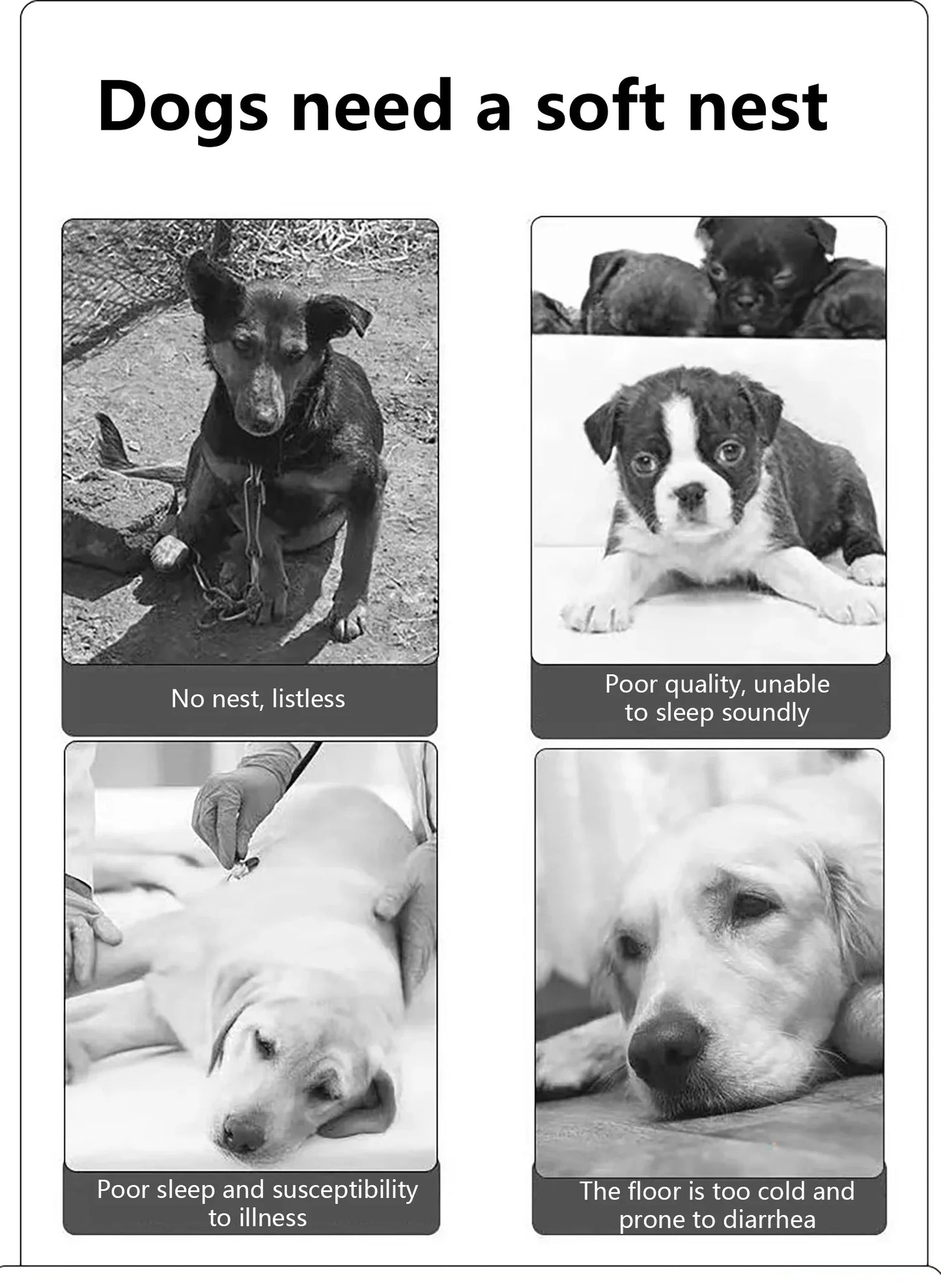 Dog & Cat Bed, Waterproof, Durable, PP Cotton