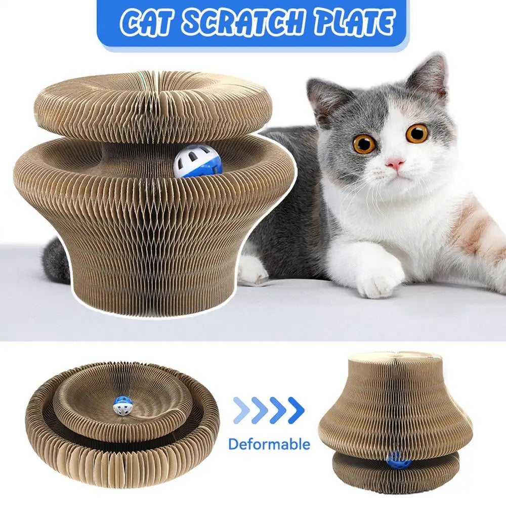 Kitty Curls Cat Toy – Interactive Scratch Pad & Resting Spot