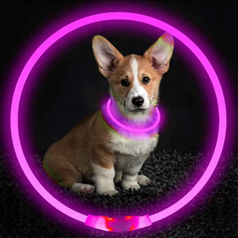 LED Luminous Dog & Cat Collar – Rechargeable Glowing Safety Collar