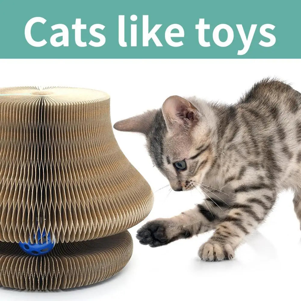 Kitty Curls Cat Toy – Interactive Scratch Pad & Resting Spot