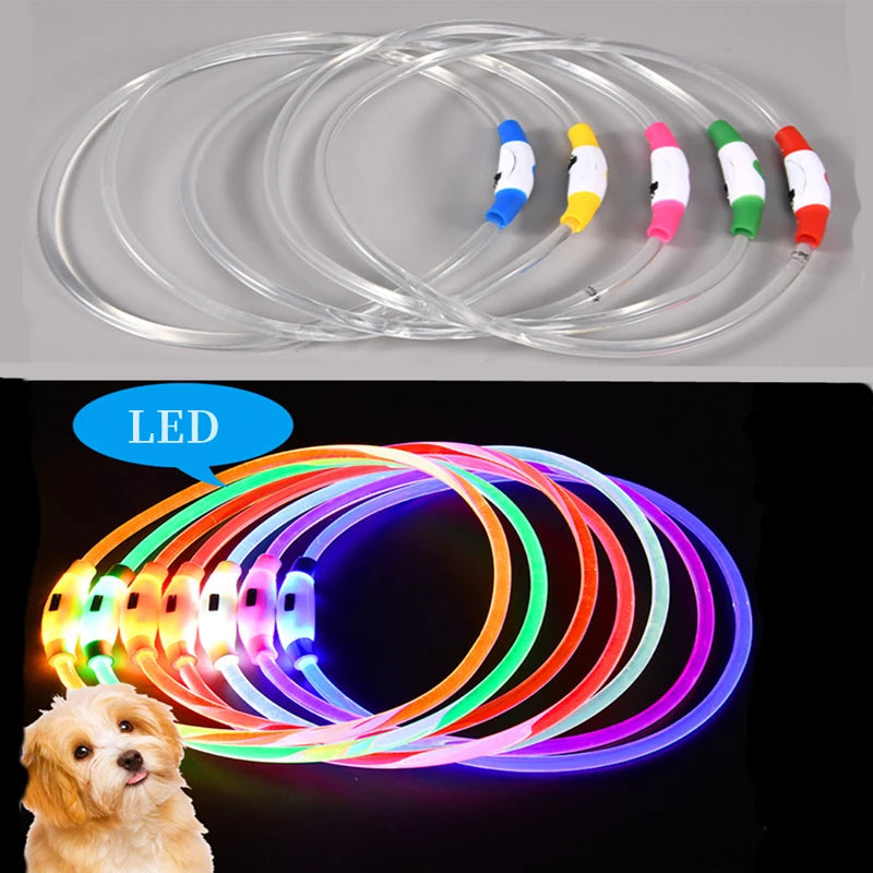 LED Luminous Dog & Cat Collar – Rechargeable Glowing Safety Collar