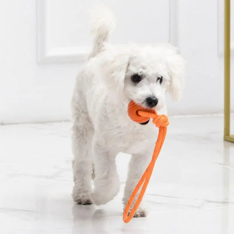 Reflective TPR Rope Ball Dog Toy for Fetch & Dental Care