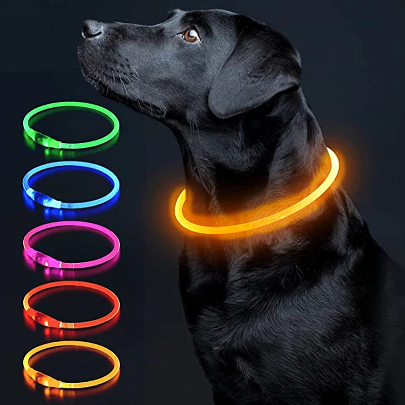 LED Luminous Dog & Cat Collar – Rechargeable Glowing Safety Collar