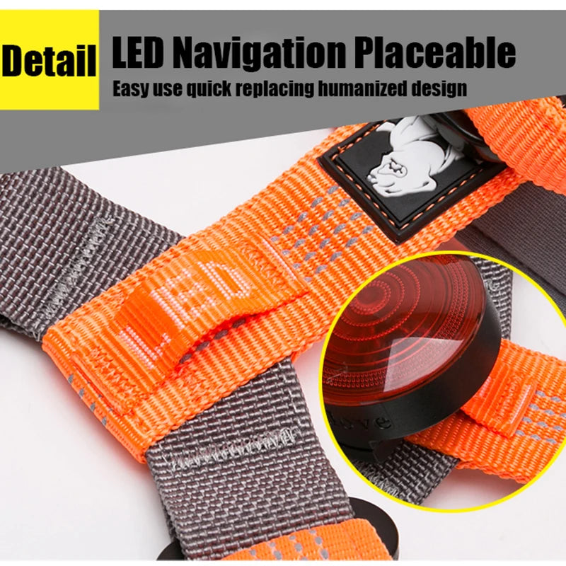 TRUELOVE Reflective Dog Harness TLH6171 – Adjustable Nylon Harness with Neoprene Padding