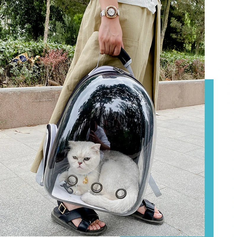 Pet Cat & Small Dog Carrying Backpack – Breathable Transparent Space Capsule Carrier for Travel, Hiking, and Daily Walks