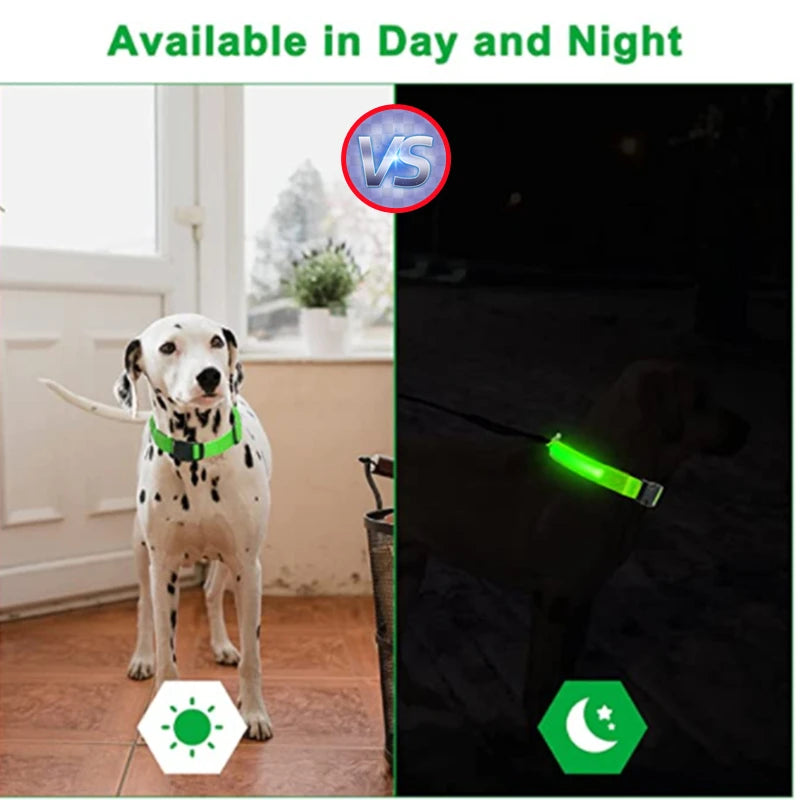 USB Rechargeable LED Glowing Dog & Cat Collar – Adjustable Night Safety Collar