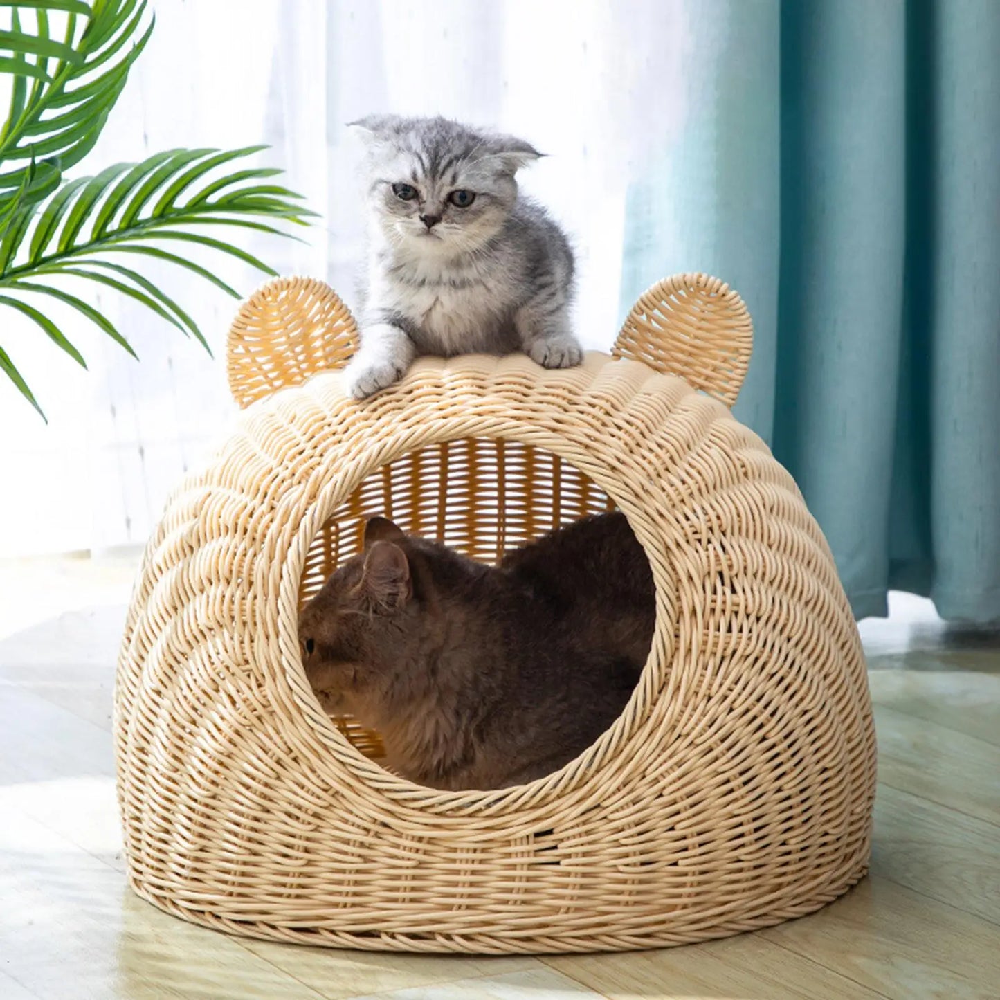 Rattan Woven Semi-Closed Cat Bed House