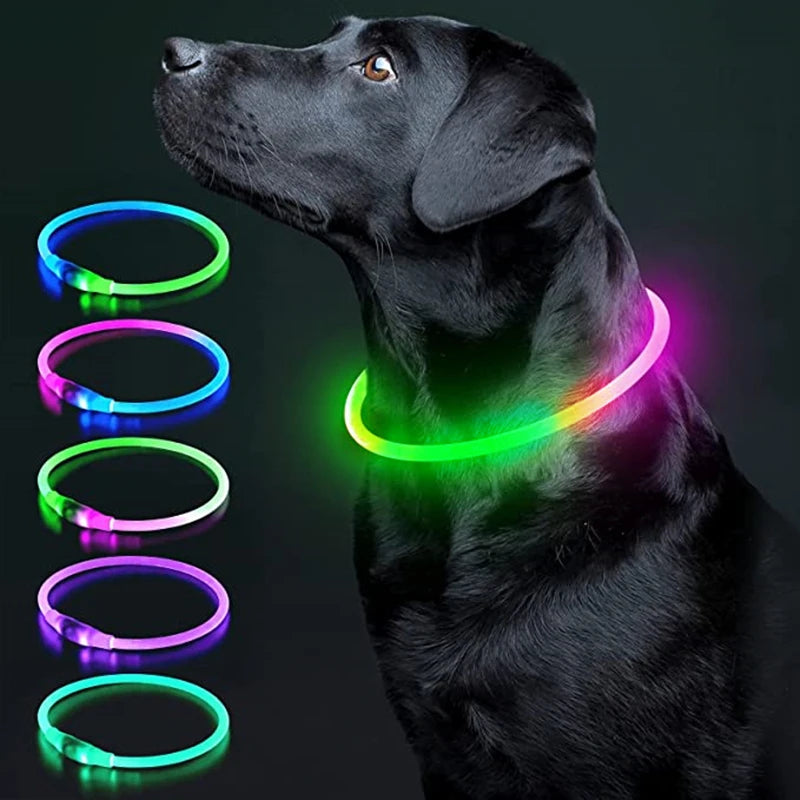 USB Rechargeable LED Glowing Dog & Cat Collar – Adjustable Night Safety Collar