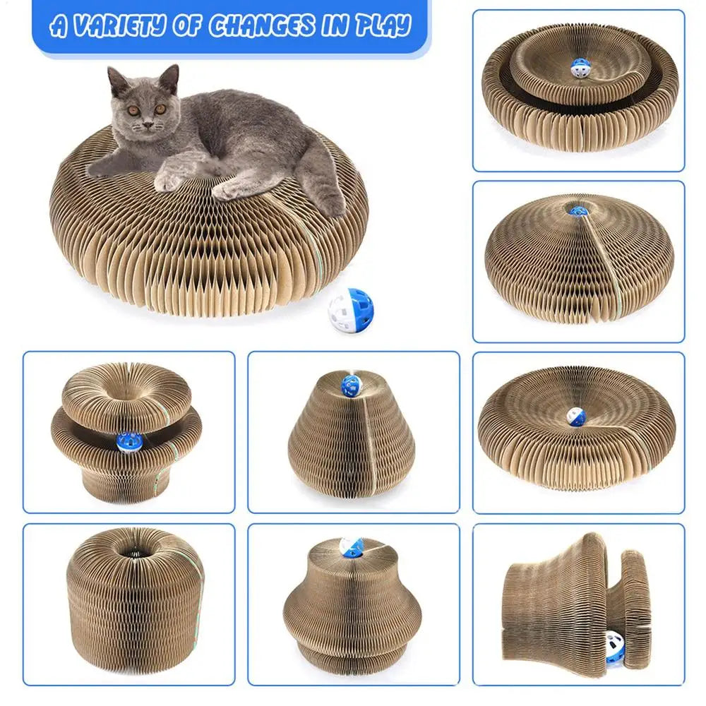 Kitty Curls Cat Toy – Interactive Scratch Pad & Resting Spot