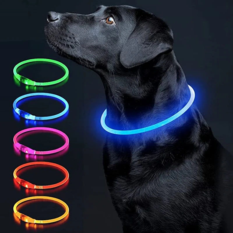 LED Luminous Dog & Cat Collar – Rechargeable Glowing Safety Collar