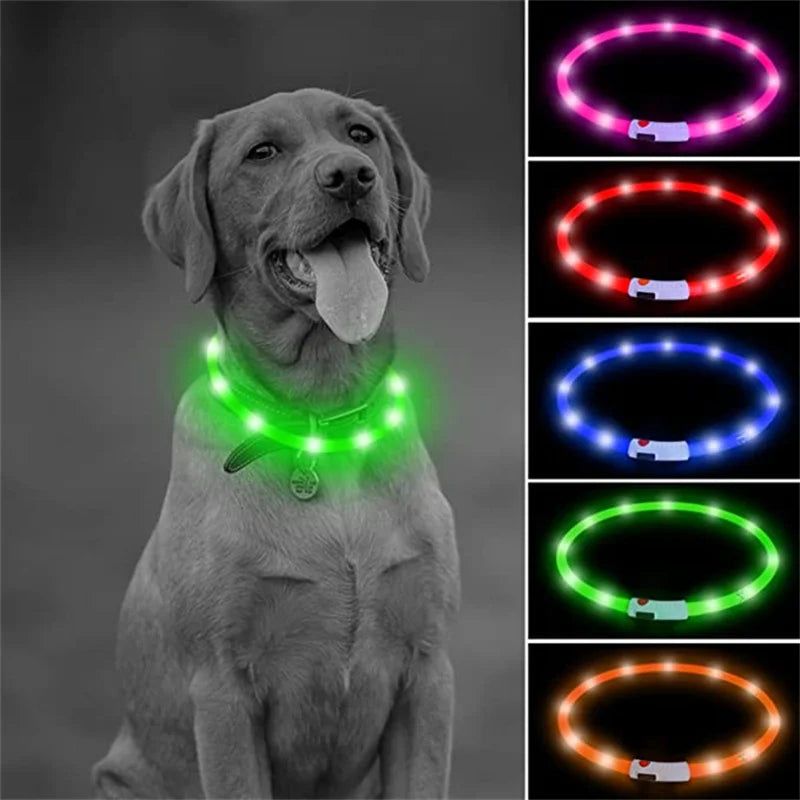 USB Rechargeable LED Glowing Dog & Cat Collar – Adjustable Night Safety Collar