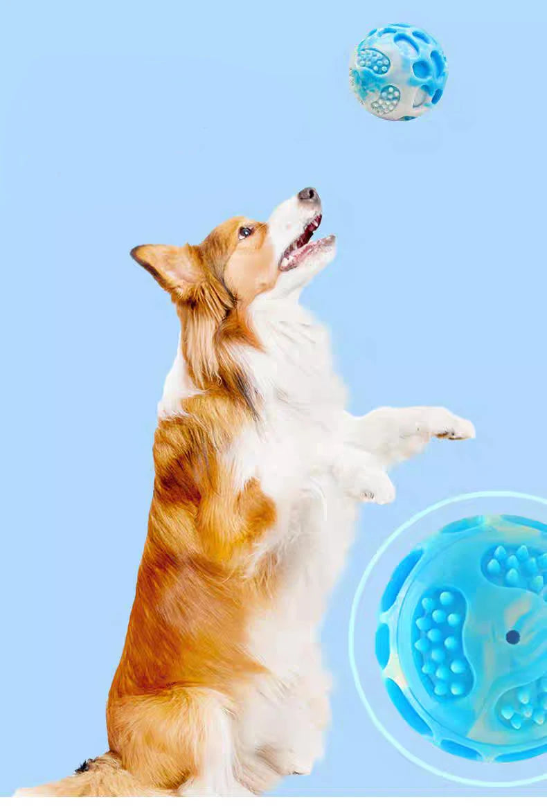 Durable Rubber Dog Ball Toy for Chewing & Training