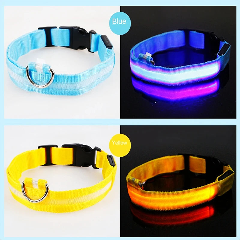 USB Rechargeable LED Glowing Dog & Cat Collar – Adjustable Night Safety Collar