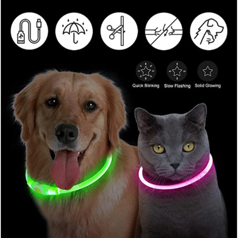 USB Rechargeable LED Glowing Dog & Cat Collar – Adjustable Night Safety Collar