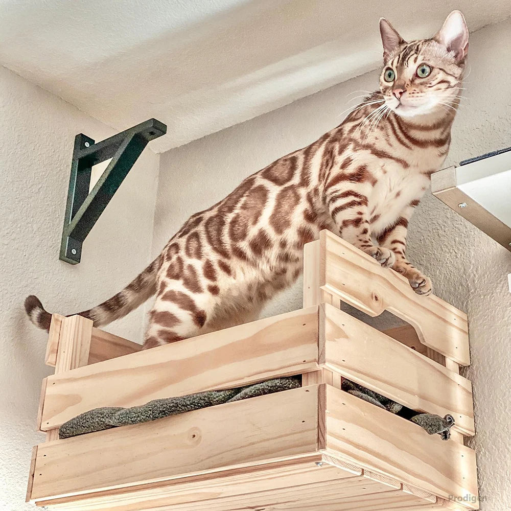 Wall-Mounted Wooden Cat Perch Bed with Scratching & Climbing Function