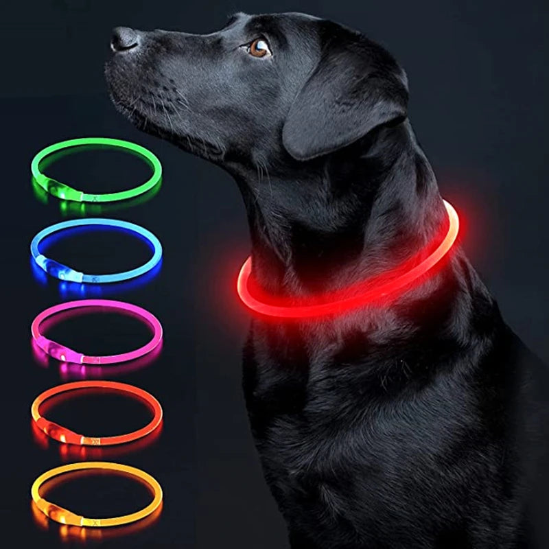 LED Luminous Dog & Cat Collar – Rechargeable Glowing Safety Collar