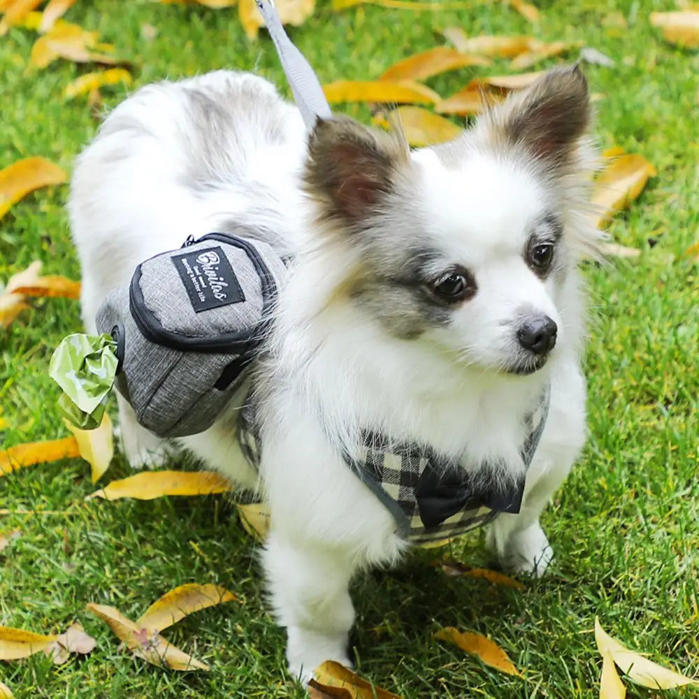 Pet Dog Treat Pouch – Portable Multifunction Dog Training Bag with Poop Bag Dispenser