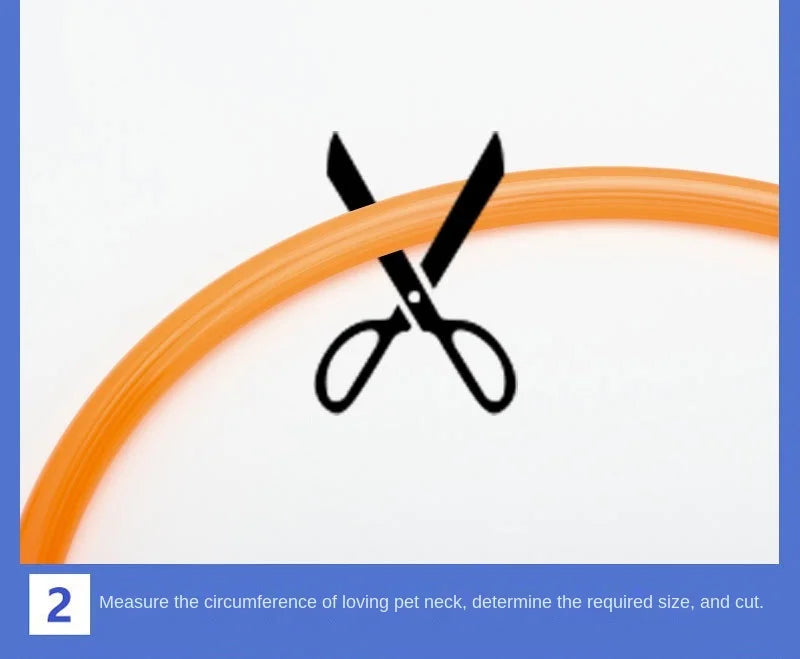 USB Rechargeable LED Glowing Dog & Cat Collar – Adjustable Night Safety Collar