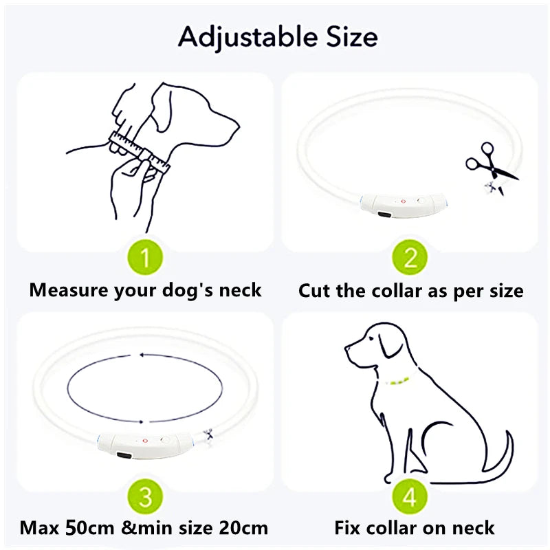 USB Rechargeable LED Glowing Dog & Cat Collar – Adjustable Night Safety Collar